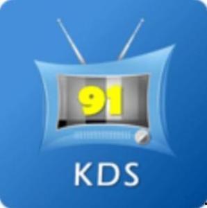 91直播电视台,打造全新视听盛宴，引领网络直播新潮流